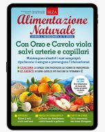 Alimentazione Naturale - 6 numeri digitale