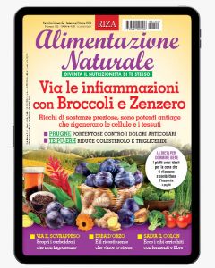 Alimentazione Naturale - 6 numeri digitale