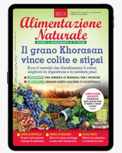Alimentazione Naturale - 12 numeri digitale