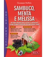 Sambuco, menta e melissa